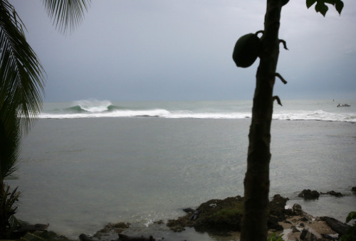 Caribbean surfing waves on Isla Uvita, Puerto Limon, Costa Rica